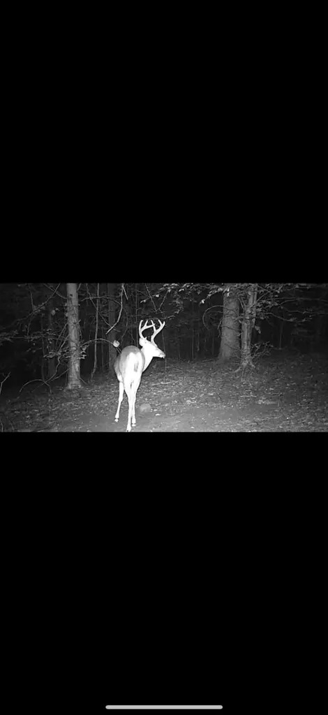 1846 Cream Ridge Road Junction City KY 40440