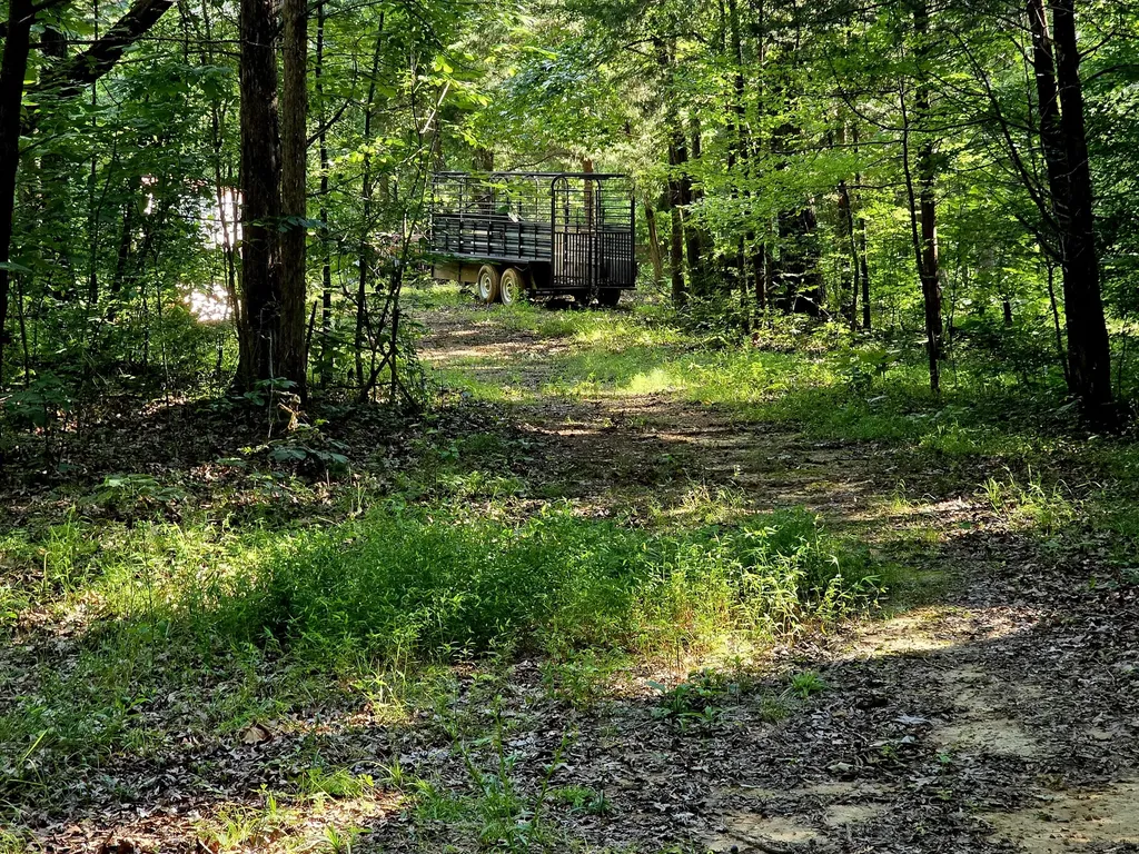 521 Cedar Knob Road Benton KY 42025