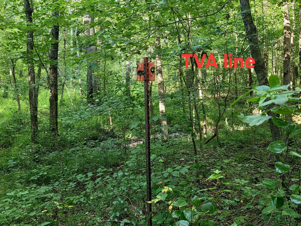 521 Cedar Knob Road Benton KY 42025