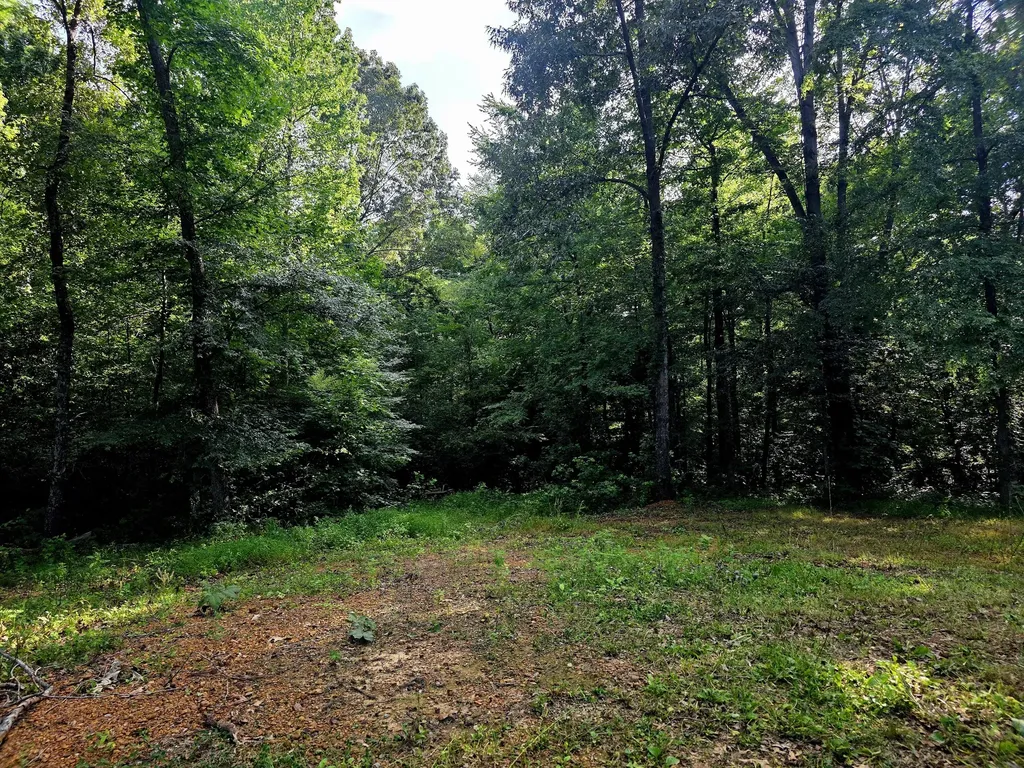521 Cedar Knob Road Benton KY 42025