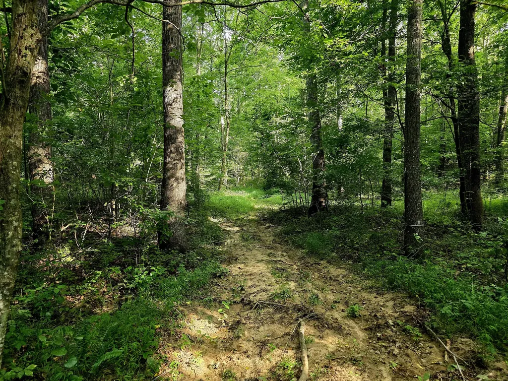 521 Cedar Knob Road Benton KY 42025
