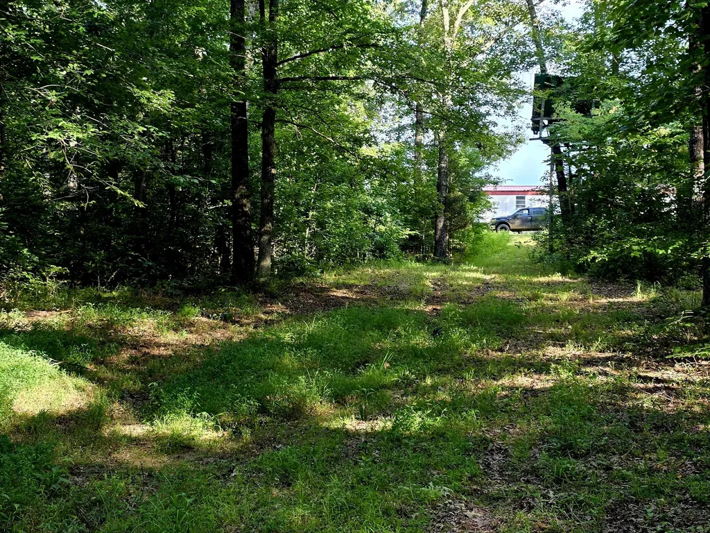 521 Cedar Knob Road Benton KY 42025