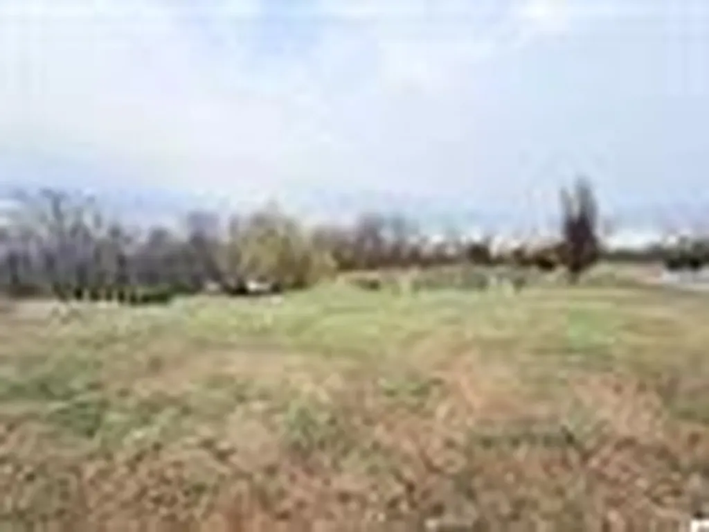109 Briarwood Drive Marion KY 42064
