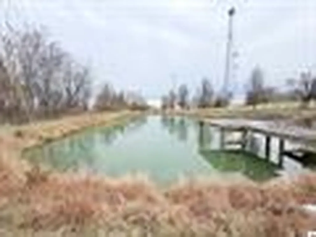 109 Briarwood Drive Marion KY 42064