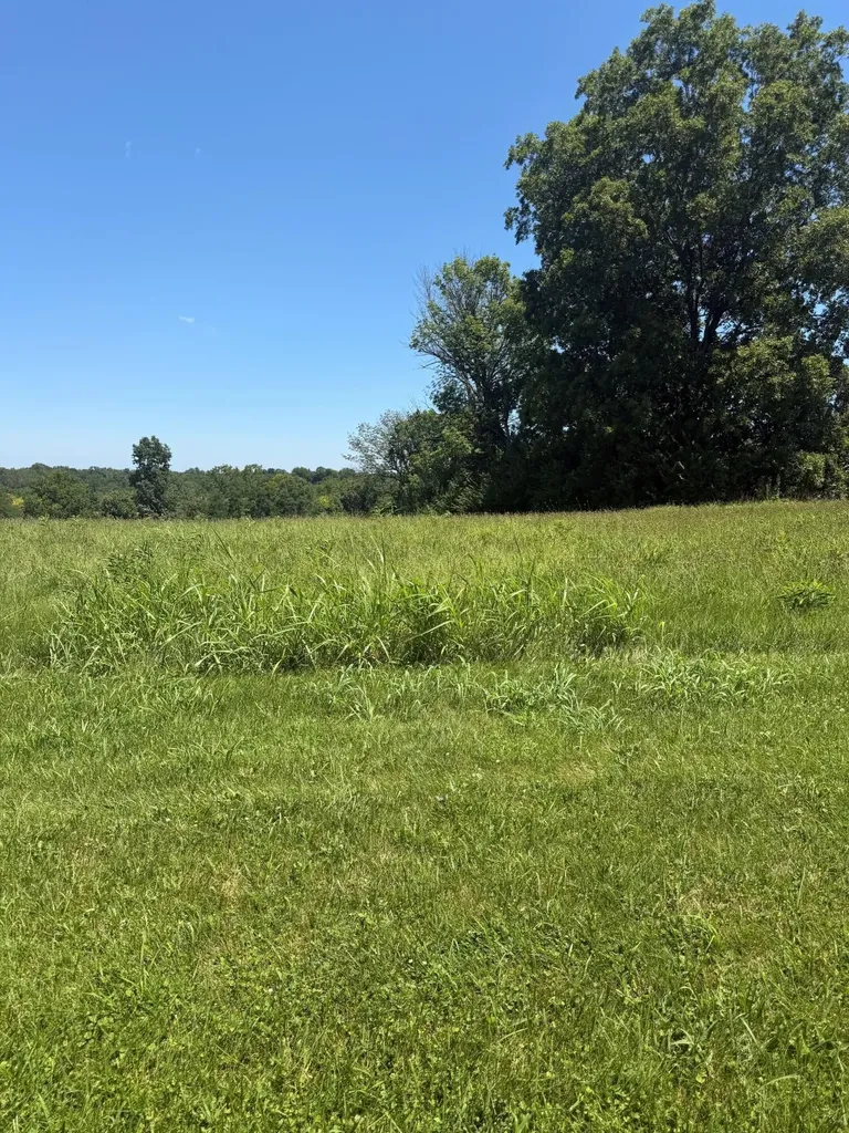 405 Arrowhead Springs Lane Versailles KY 40383