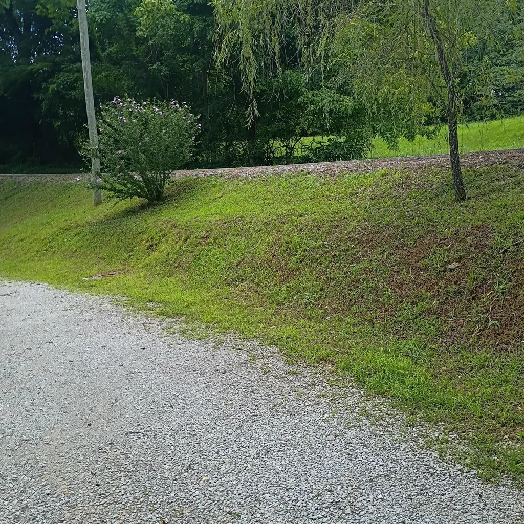 183 183 Shoemaker Ln Lane Monticello KY 42633