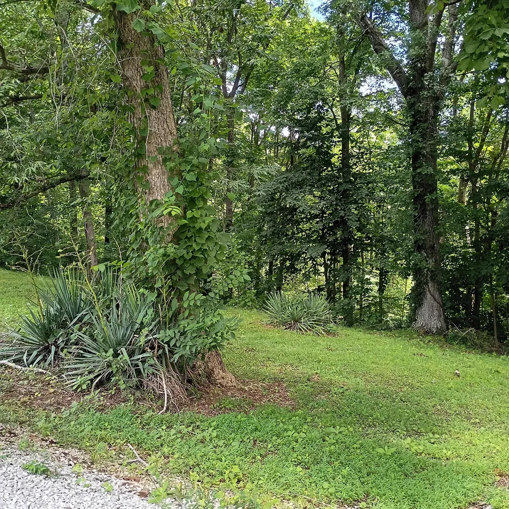 183 183 Shoemaker Ln Lane Monticello KY 42633