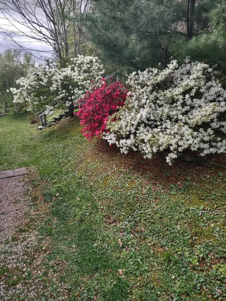 183 183 Shoemaker Ln Lane Monticello KY 42633
