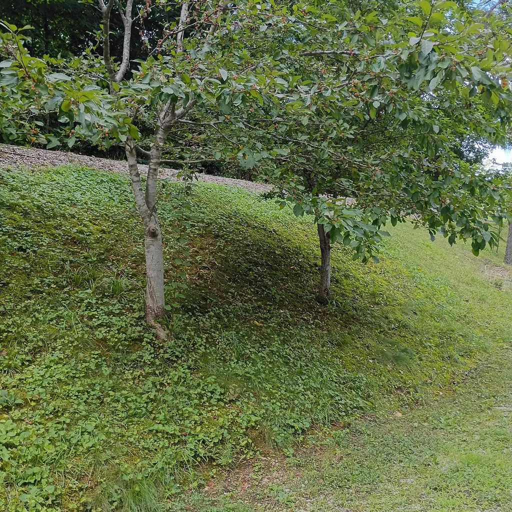 183 183 Shoemaker Ln Lane Monticello KY 42633