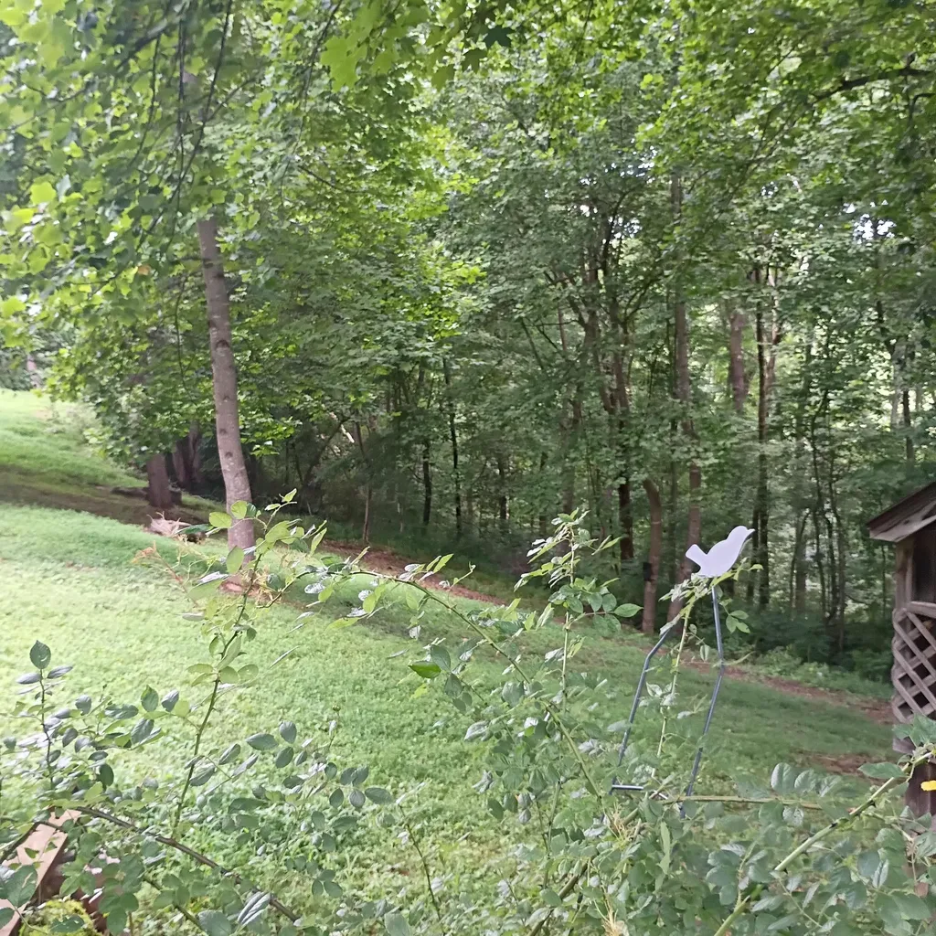 183 183 Shoemaker Ln Lane Monticello KY 42633