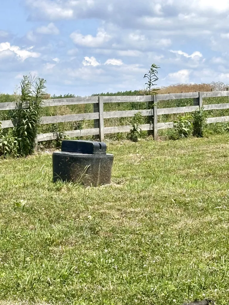 1502 Cane Run Road Carlisle KY 40311