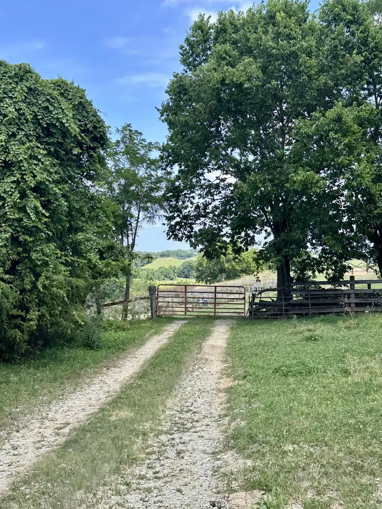 1502 Cane Run Road Carlisle KY 40311