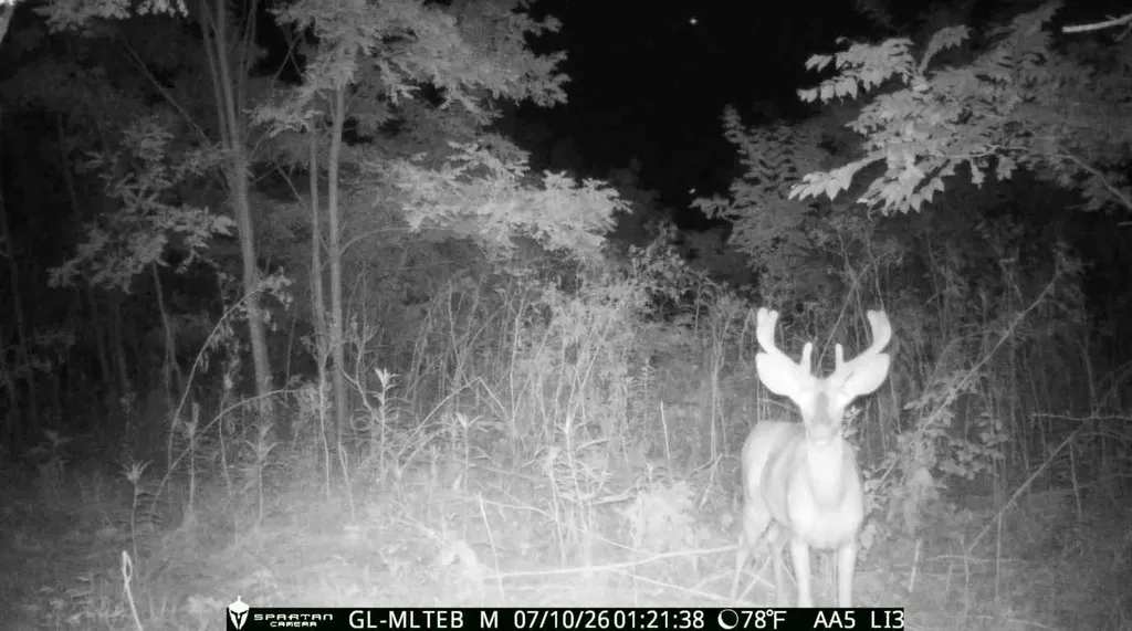 1502 Cane Run Road Carlisle KY 40311