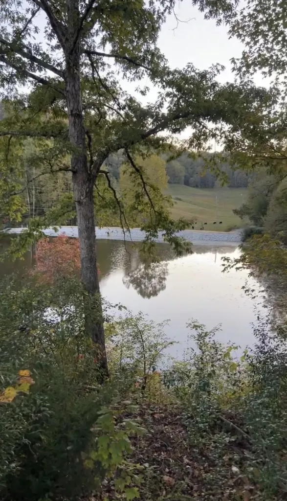 775 Powell Branch Road Bimble KY 40915