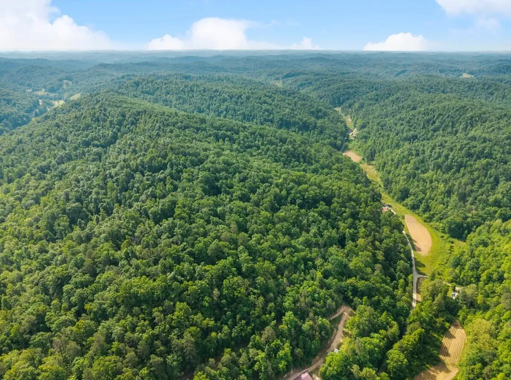 1068 Stingy Fork Road West Liberty KY 41472