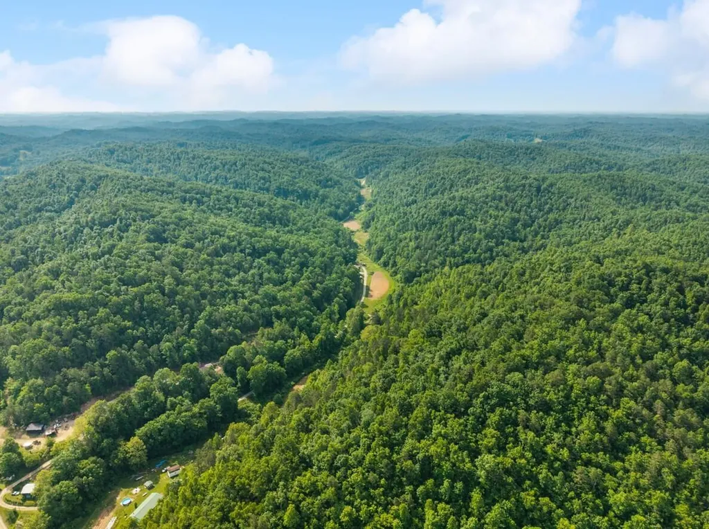 1068 Stingy Fork Road West Liberty KY 41472