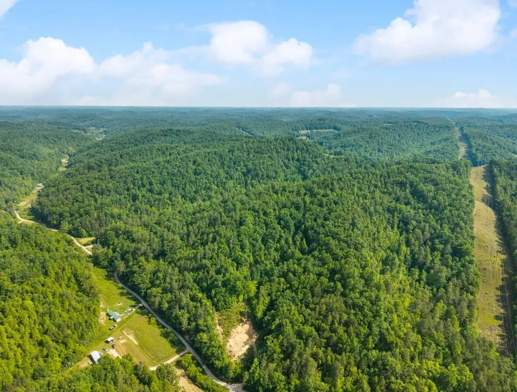 1068 Stingy Fork Road West Liberty KY 41472