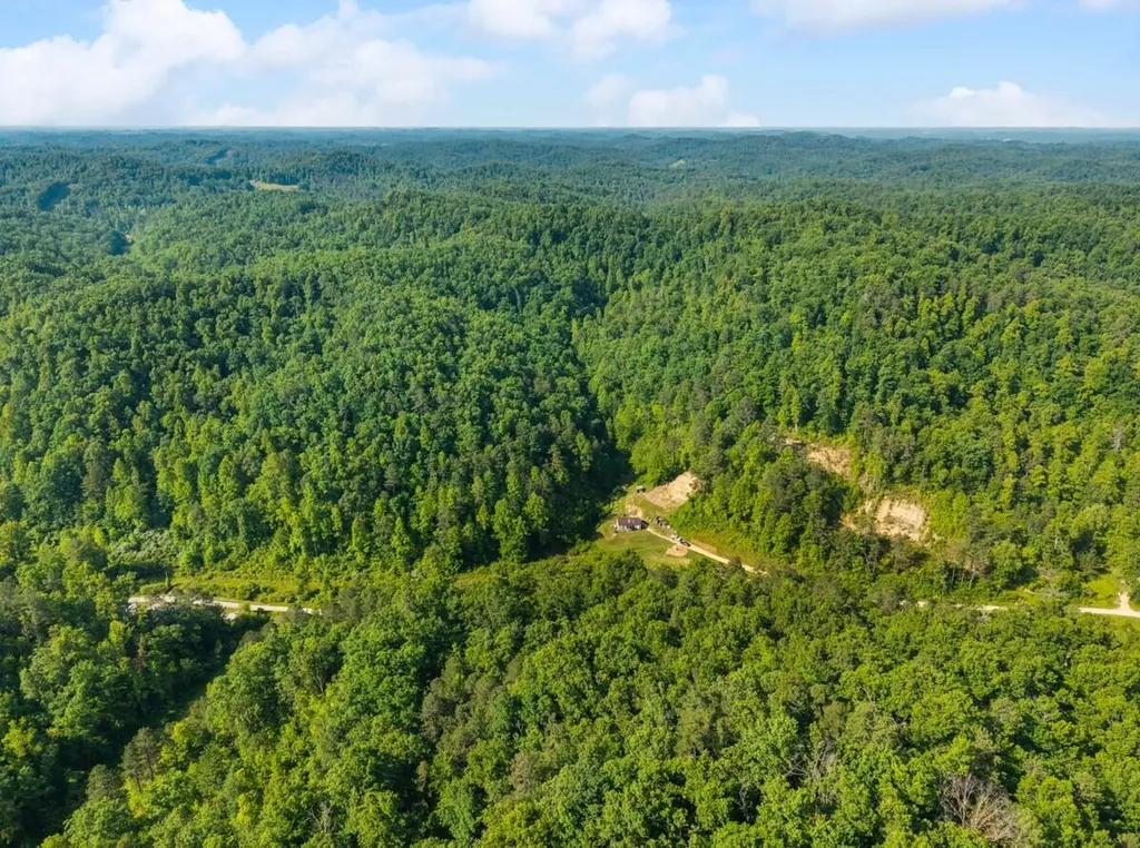 1068 Stingy Fork Road West Liberty KY 41472