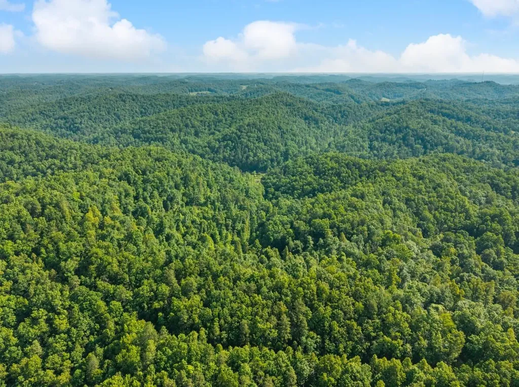 1068 Stingy Fork Road West Liberty KY 41472