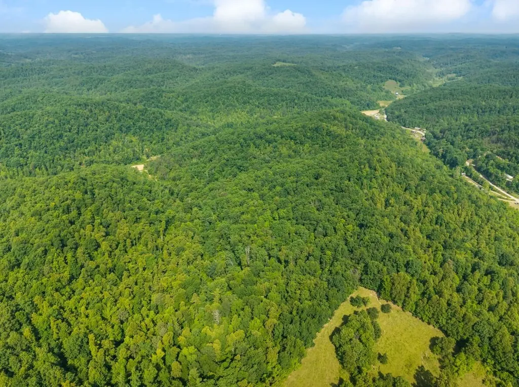 1068 Stingy Fork Road West Liberty KY 41472