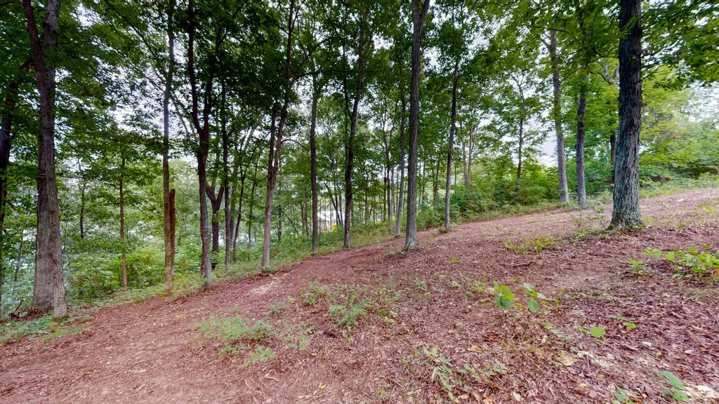 11 Tow Lane Murray KY 42071