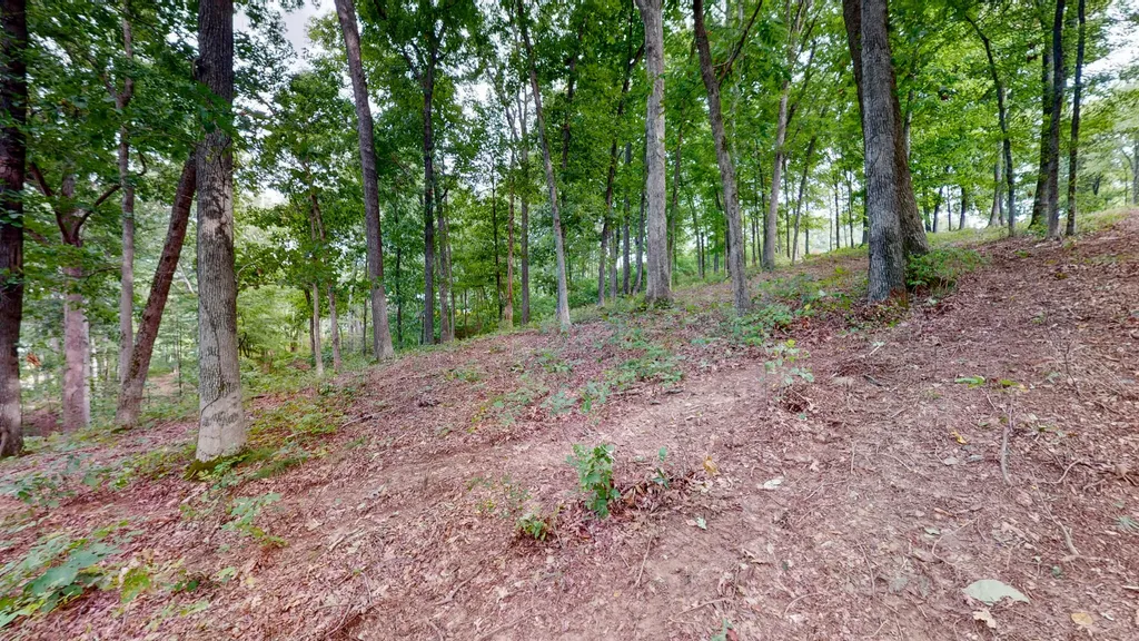 11 Tow Lane Murray KY 42071