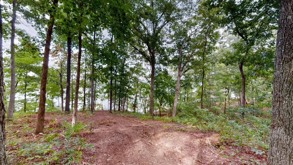 11 Tow Lane Murray KY 42071