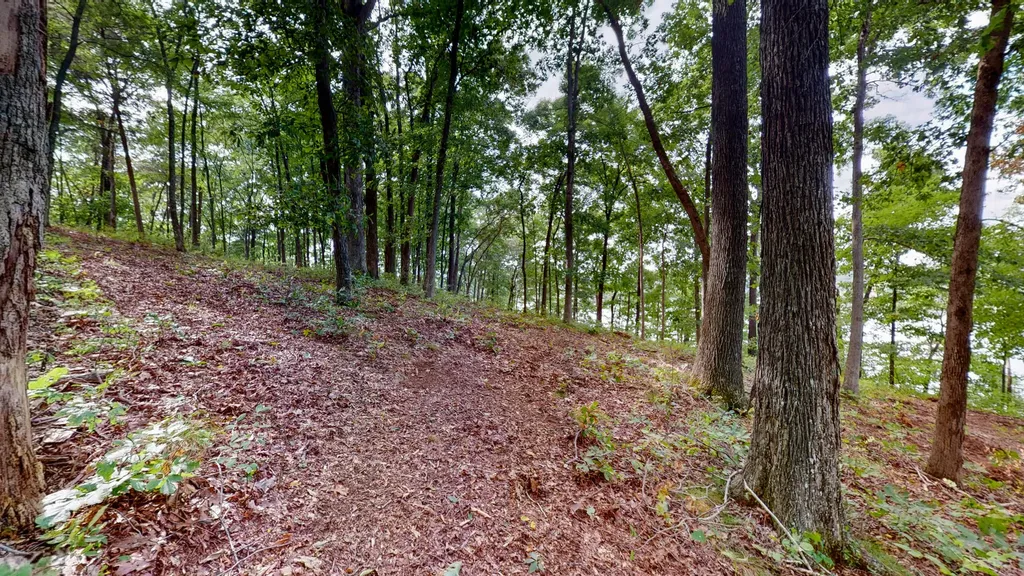 11 Tow Lane Murray KY 42071