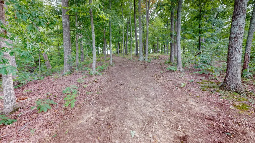 11 Tow Lane Murray KY 42071