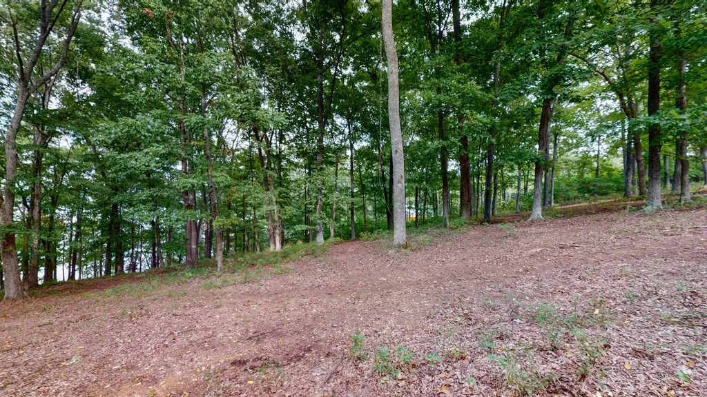11 Tow Lane Murray KY 42071