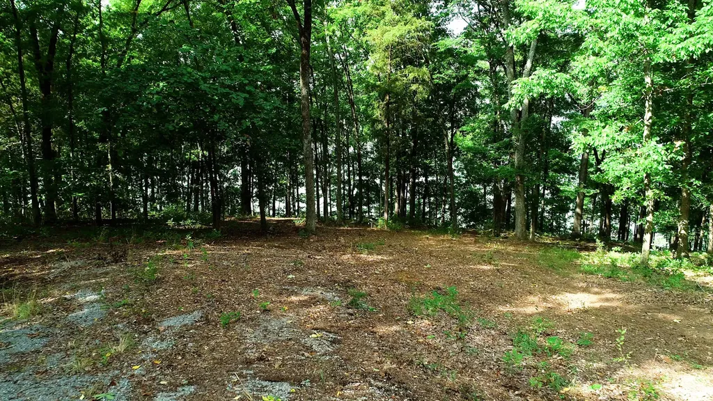 11 Tow Lane Murray KY 42071