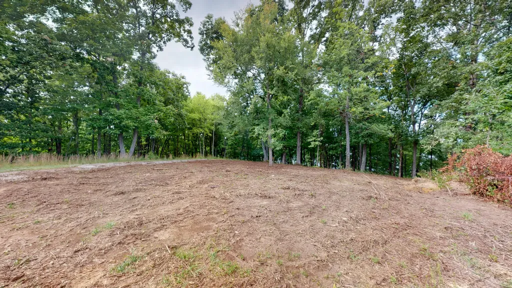11 Tow Lane Murray KY 42071
