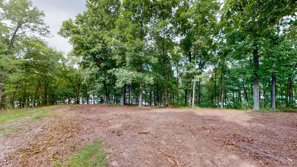 11 Tow Lane Murray KY 42071