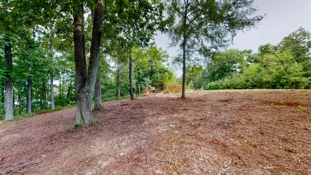 11 Tow Lane Murray KY 42071