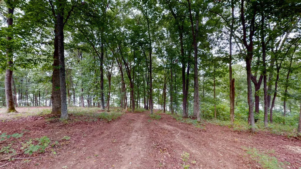 11 Tow Lane Murray KY 42071