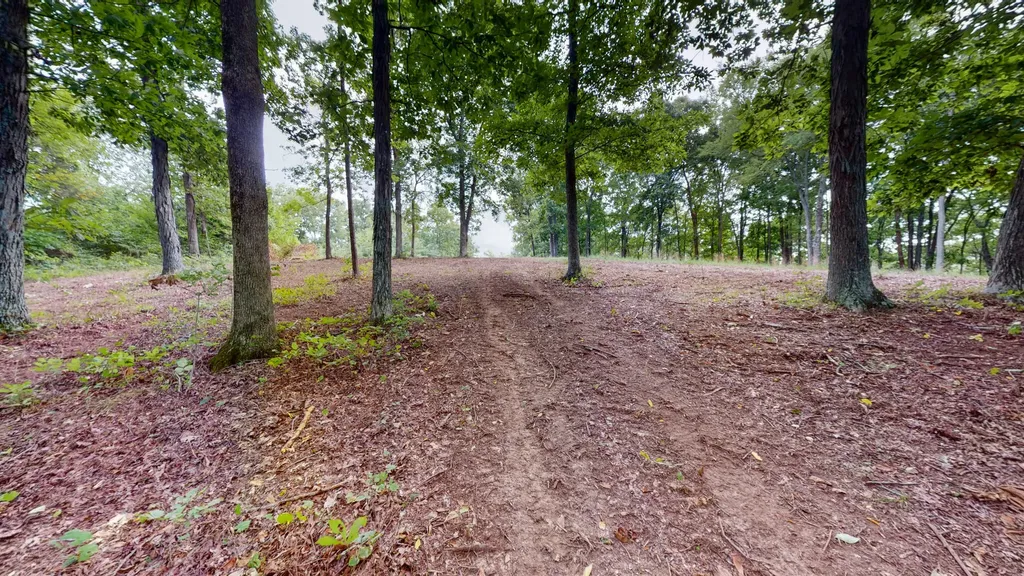 11 Tow Lane Murray KY 42071