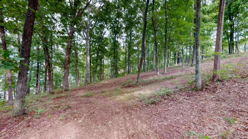 11 Tow Lane Murray KY 42071