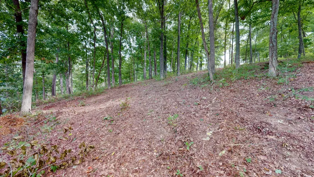 11 Tow Lane Murray KY 42071
