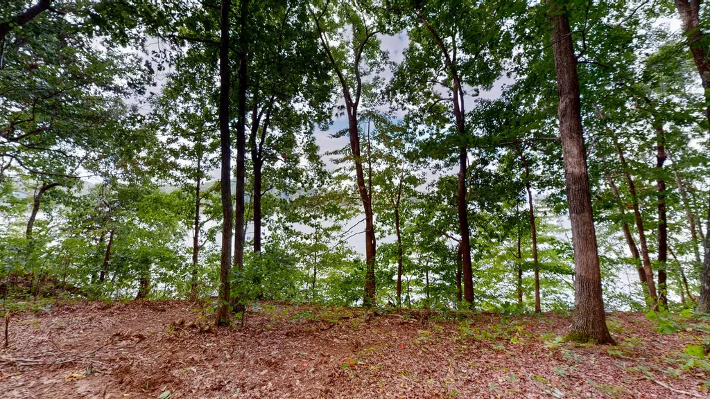 11 Tow Lane Murray KY 42071
