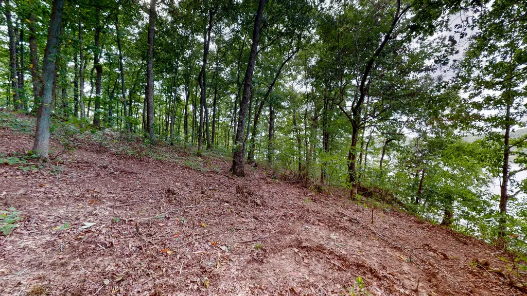 11 Tow Lane Murray KY 42071