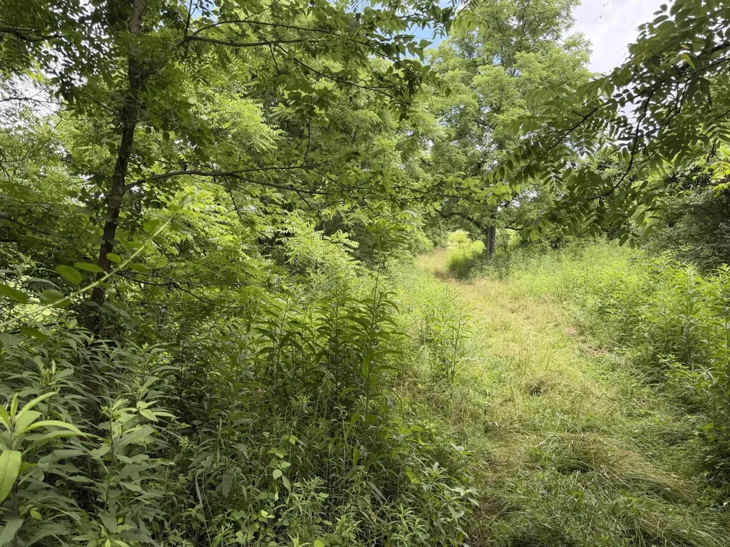 830 Gunnell Road Georgetown KY 40324