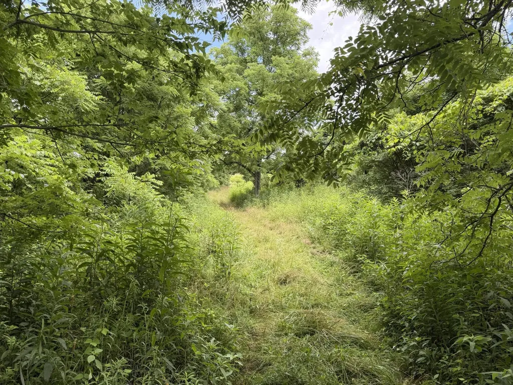 830 Gunnell Road Georgetown KY 40324