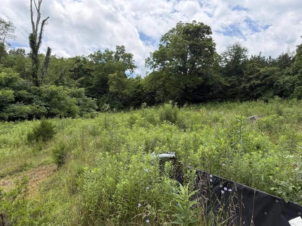 830 Gunnell Road Georgetown KY 40324