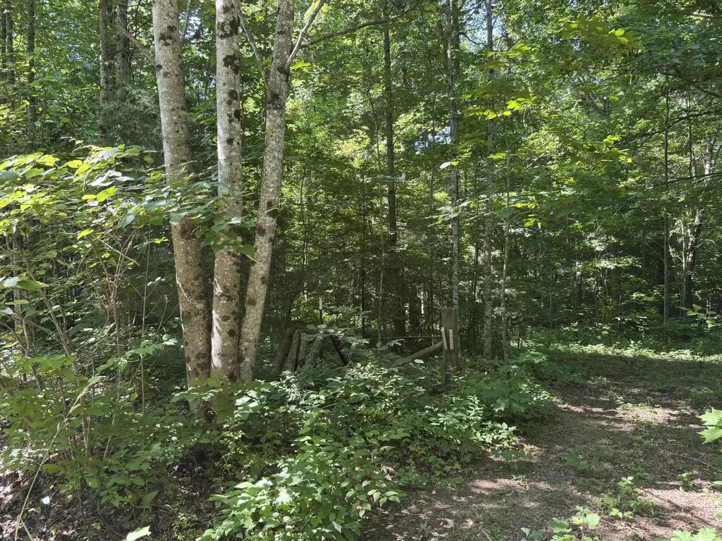 378 Shugars Hill Road Liberty KY 42539
