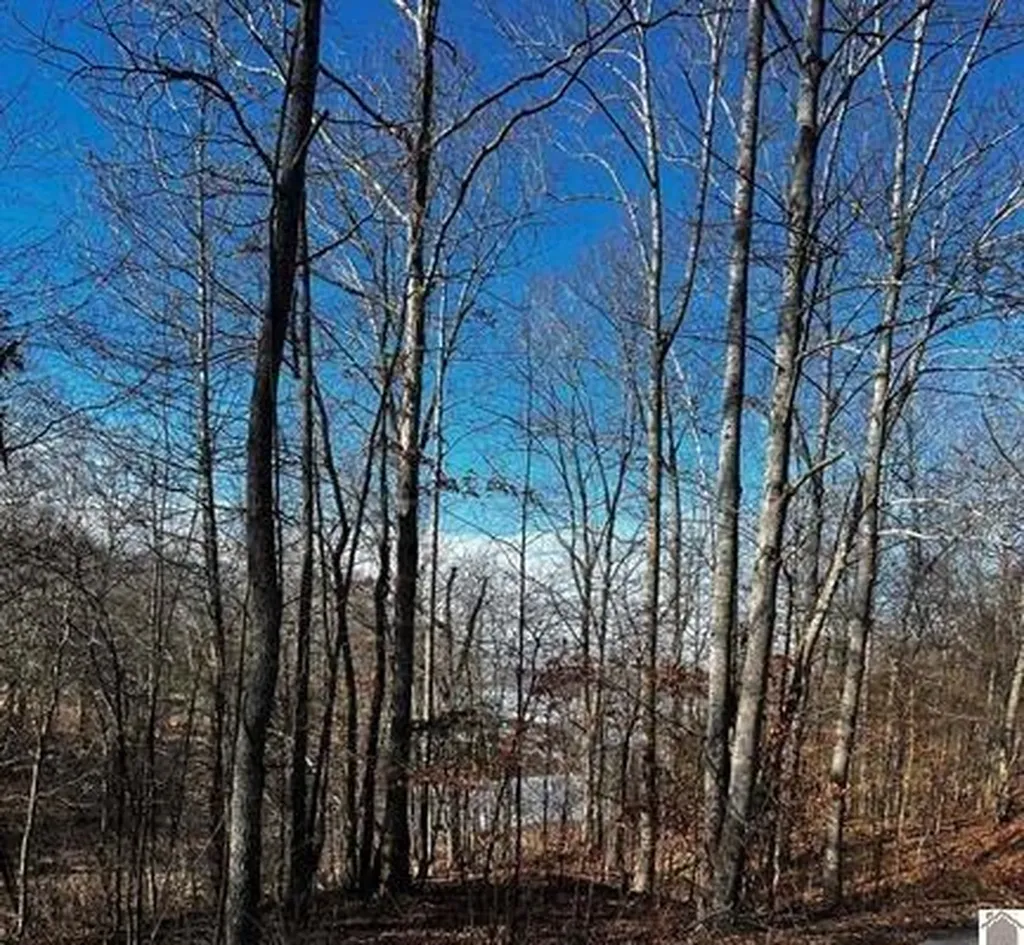 Lot 36 Canton Heights 2 Circle Cadiz KY 42211