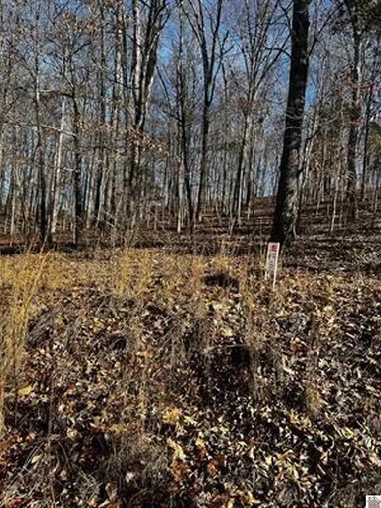 Lot 36 Canton Heights 2 Circle Cadiz KY 42211