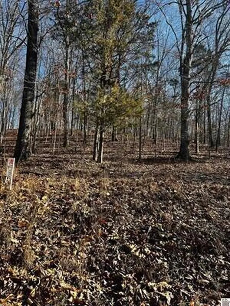Lot 36 Canton Heights 2 Circle Cadiz KY 42211