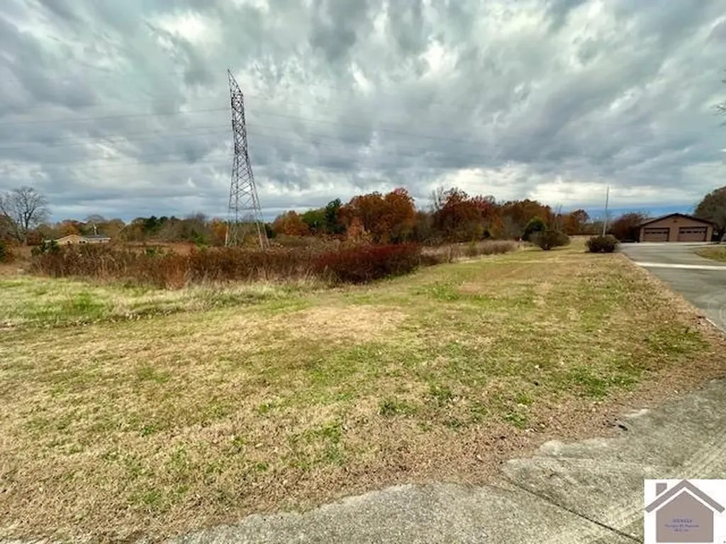 8898 E St Route Mayfield KY 42066