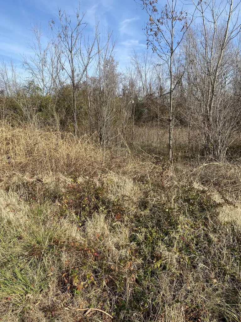 330 Grace Road Fulton KY 42041
