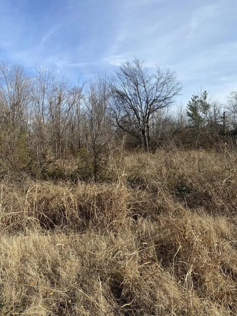 330 Grace Road Fulton KY 42041